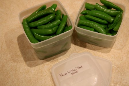 Peas blanched, packed and labeled for freezing
