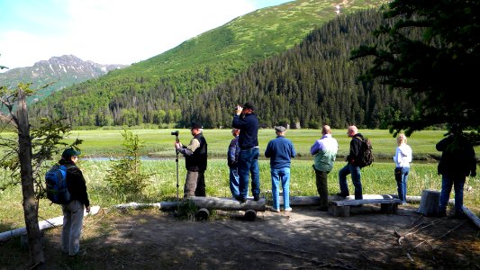 Visitors Enjoying the Eastern Bear Viewing Area
