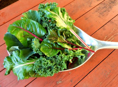 A spoonful of fresh leafy greens photo