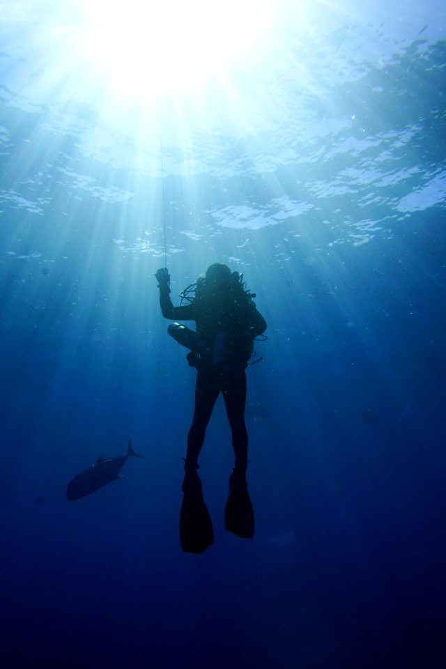Diver Ascending