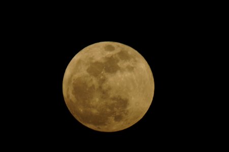 DSC00809