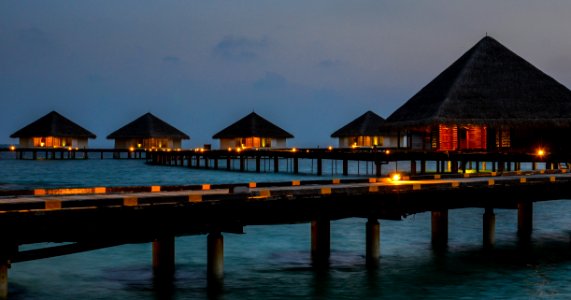 Beautifully lighted pathway to water bungalows