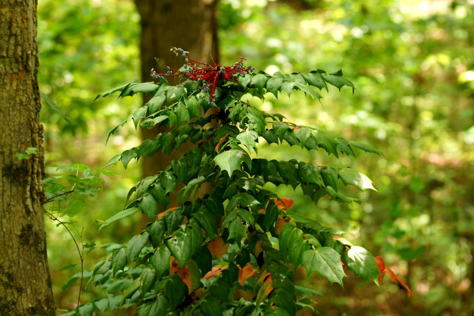 DSC05788