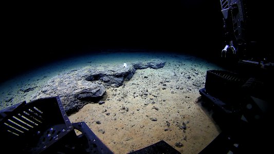 ROV Deep Discoverer approaches the unknown octopod at 4,290 meters depth photo
