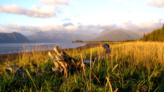 Autumn in Chinitna Bay