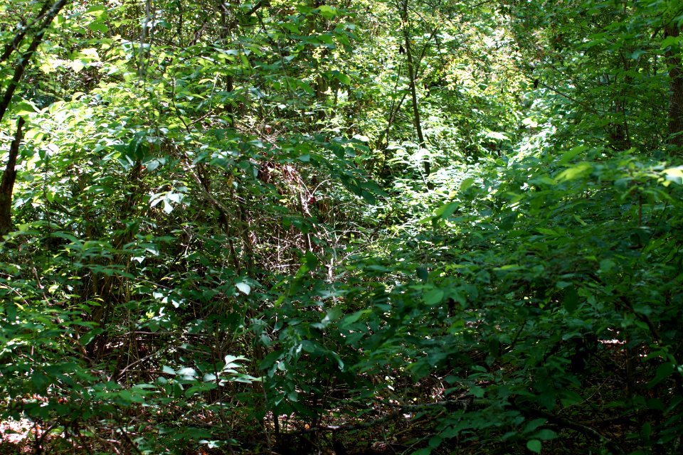 DSC05655