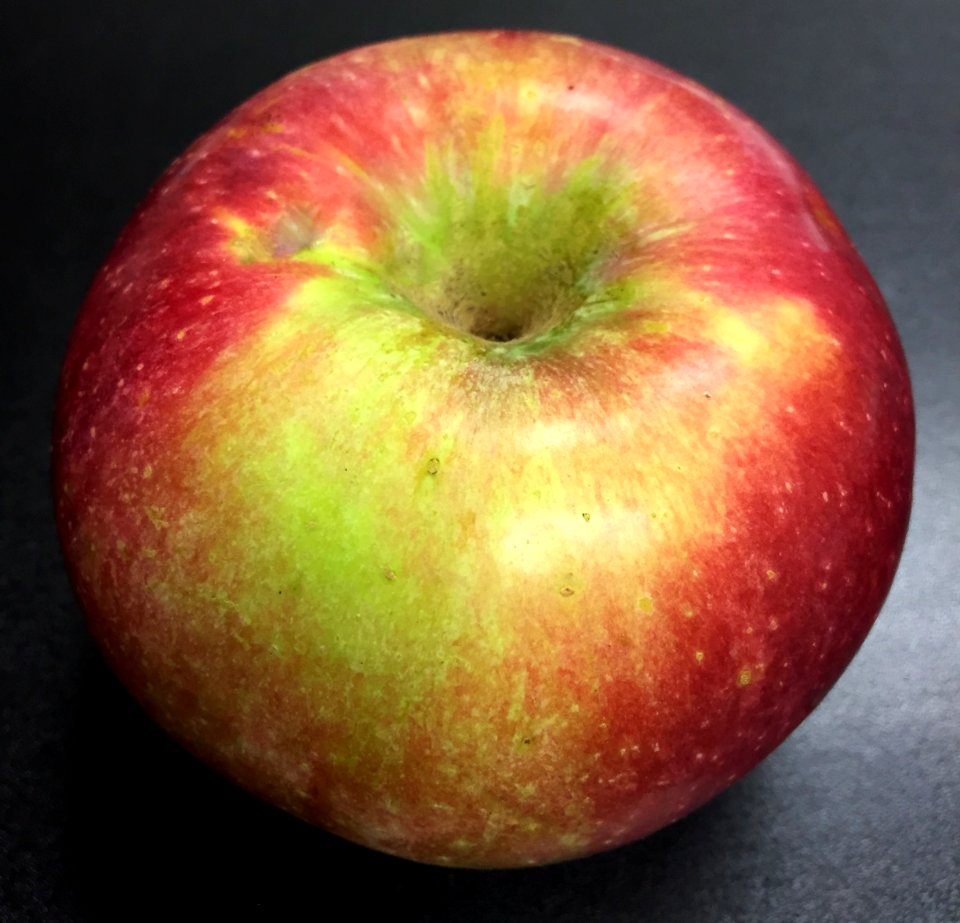 Jon-A-Red Apple