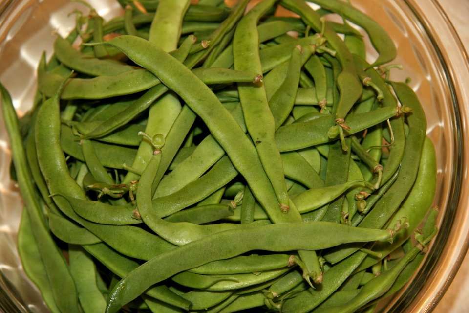 Fresh green beans in bowl