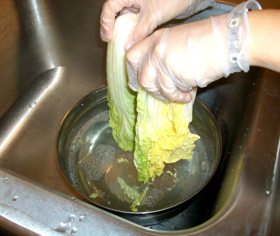 Rinsing Whole Cabbage for Kimchi
