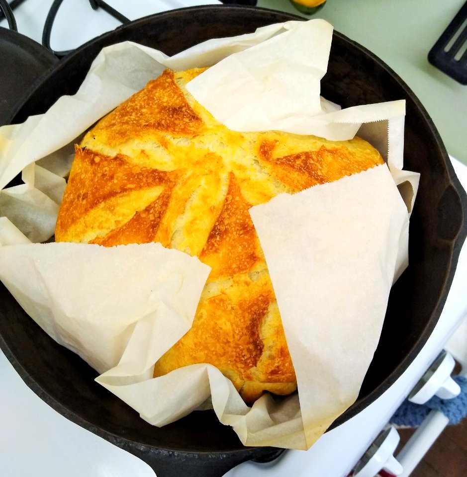 Dutch Oven Sourdough Bread 6