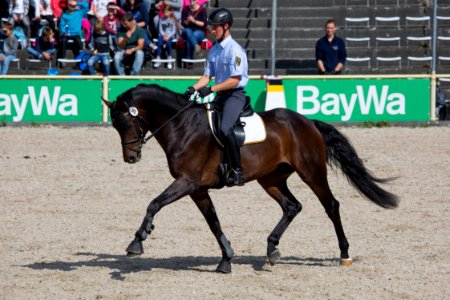 Remonten 20167943
