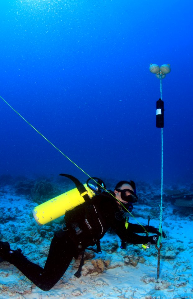 Scientific Diver