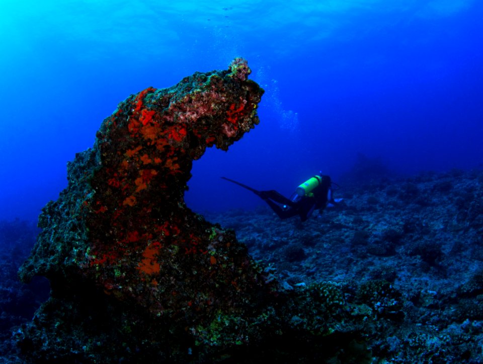 Randy on Pliestocence Reef