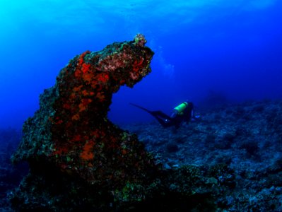 Randy on Pliestocence Reef photo