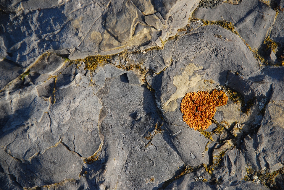 Nature natural stone background