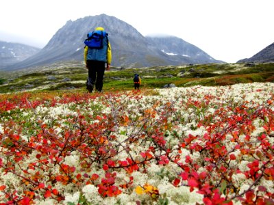 Gladiator Basin