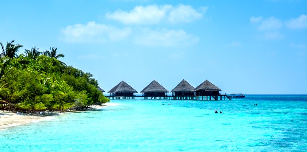 Beautiful Bungalows