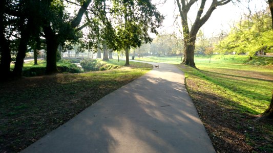 Pleasure Gardens, Spring having sprung photo