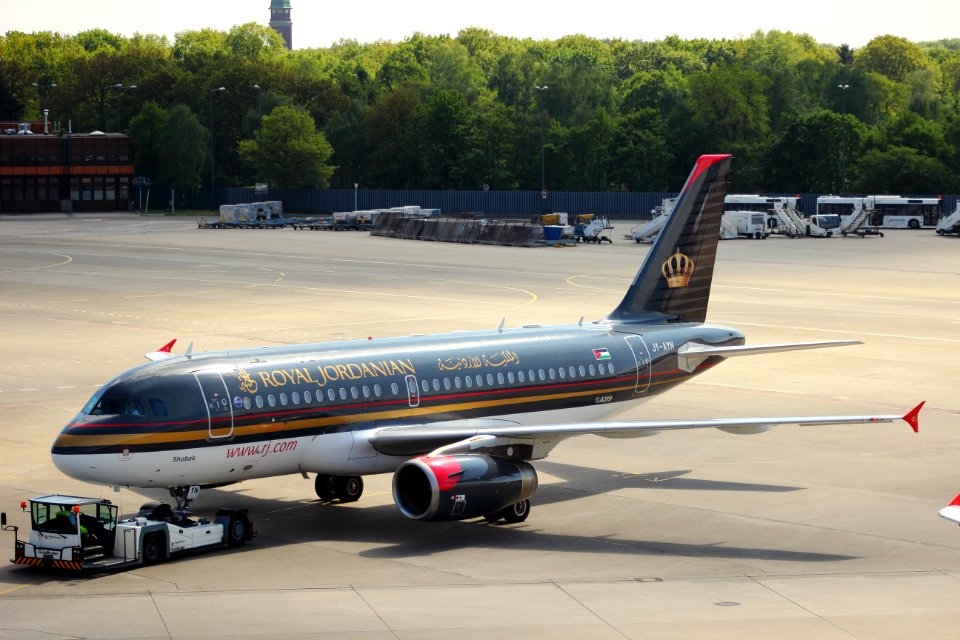 Royal Jordanian Airbus A319-132 JY-AYN