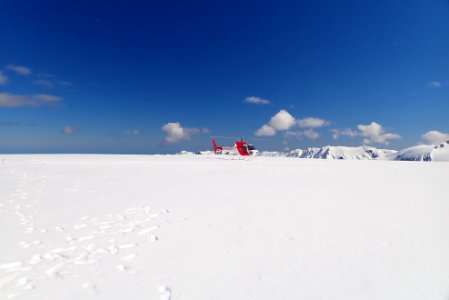 Fox Glacier photo