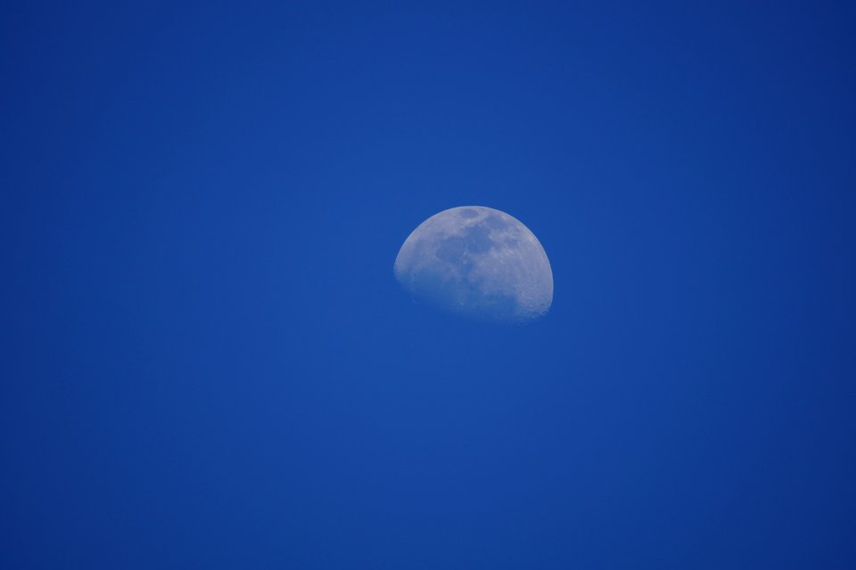 DSC01131