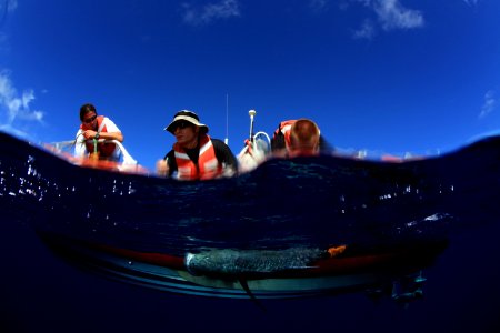 Tagging Trevally at Pearl and Hermes