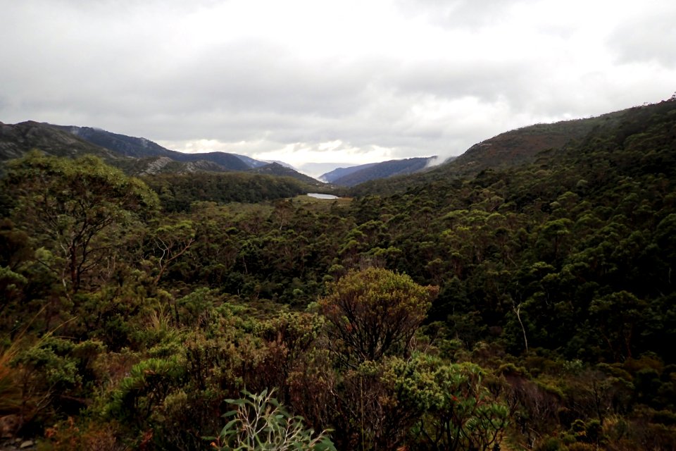 Overland Track photo