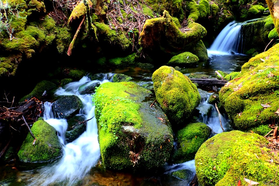 Overland Track
