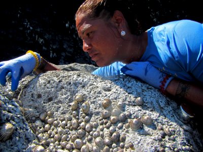 Makani Gregg Counting Limpets photo