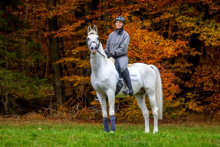 DschehimHP150988(c) Oliver-Seitz