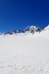 Fox Glacier photo