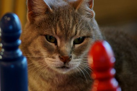 DSC00759