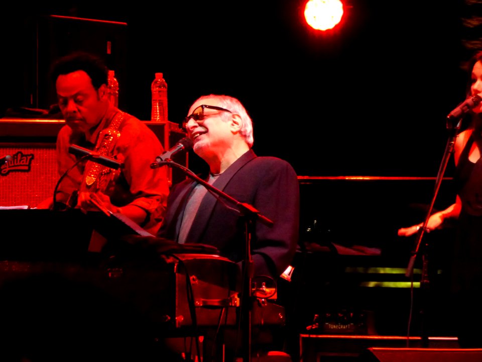 Donald Fagen, Steely Dan