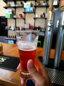 Greymouth - Monteith's Brewing Co.