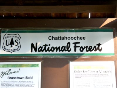 Brasstown Bald