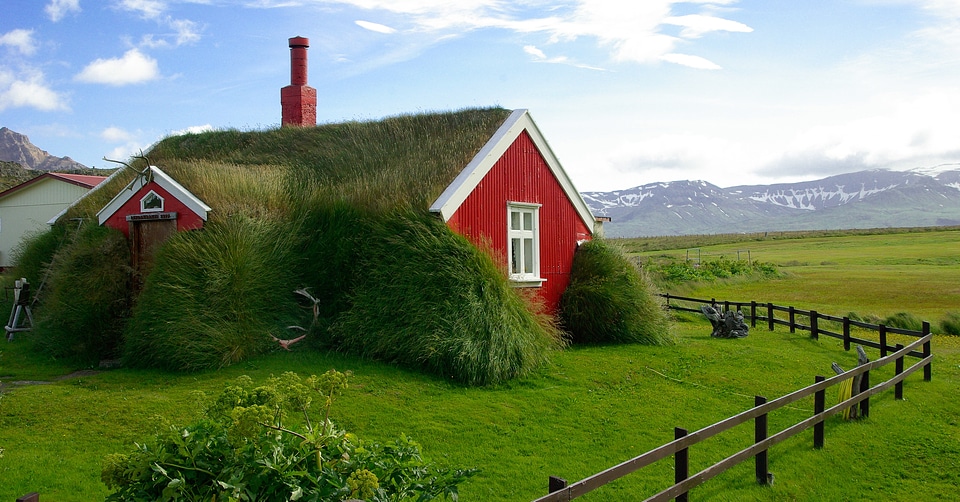 Bordafjordur roofing grass photo