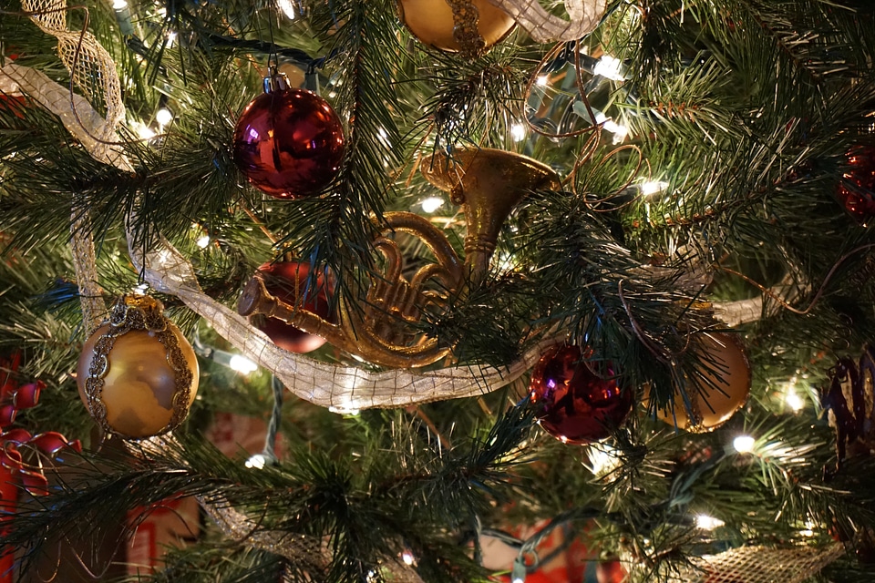 Tree christmas holiday