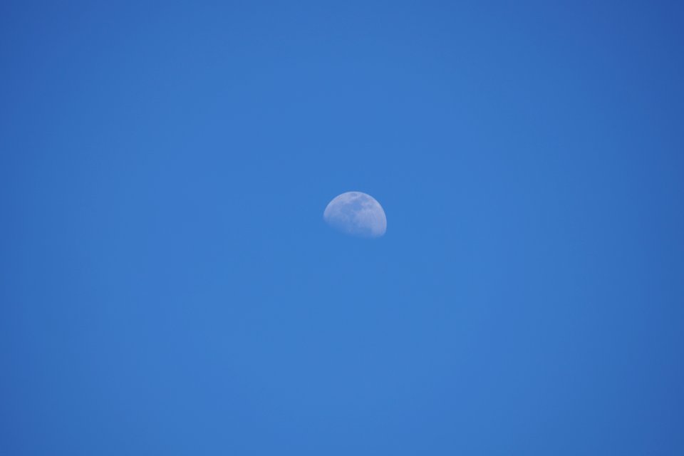 DSC01082
