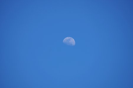 DSC01082