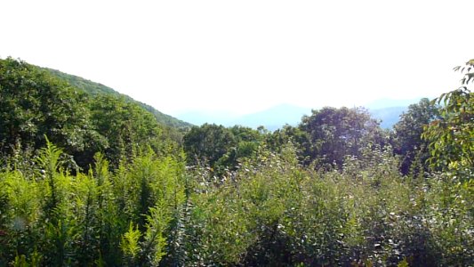 Brasstown Bald photo