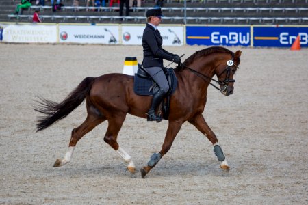 SirNymphenburg 20168625