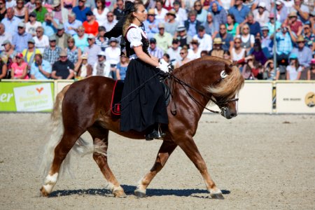 04Weissenbach-Sarah20162326