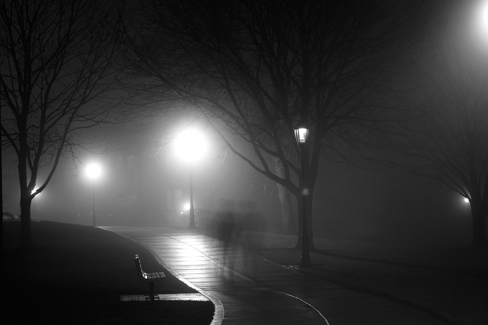 Lamp posts lights dark