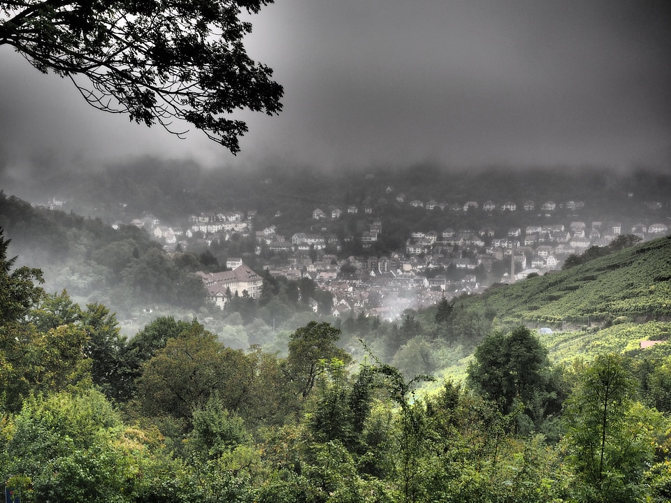 Foggy weird hasenberg