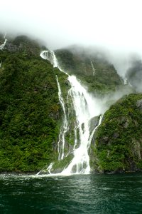 Fiordland National Park - Milford Sound photo