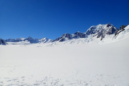 Fox Glacier photo