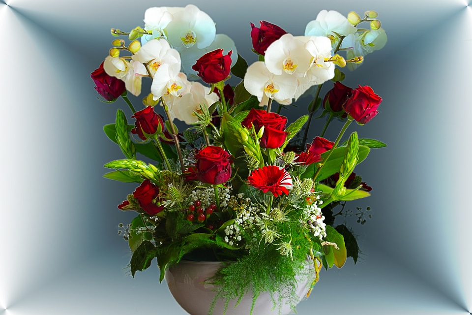 Flowers creative plant