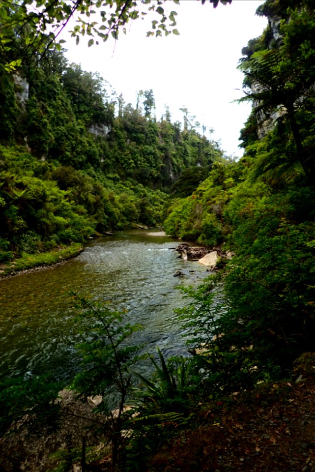 Porarari River Track