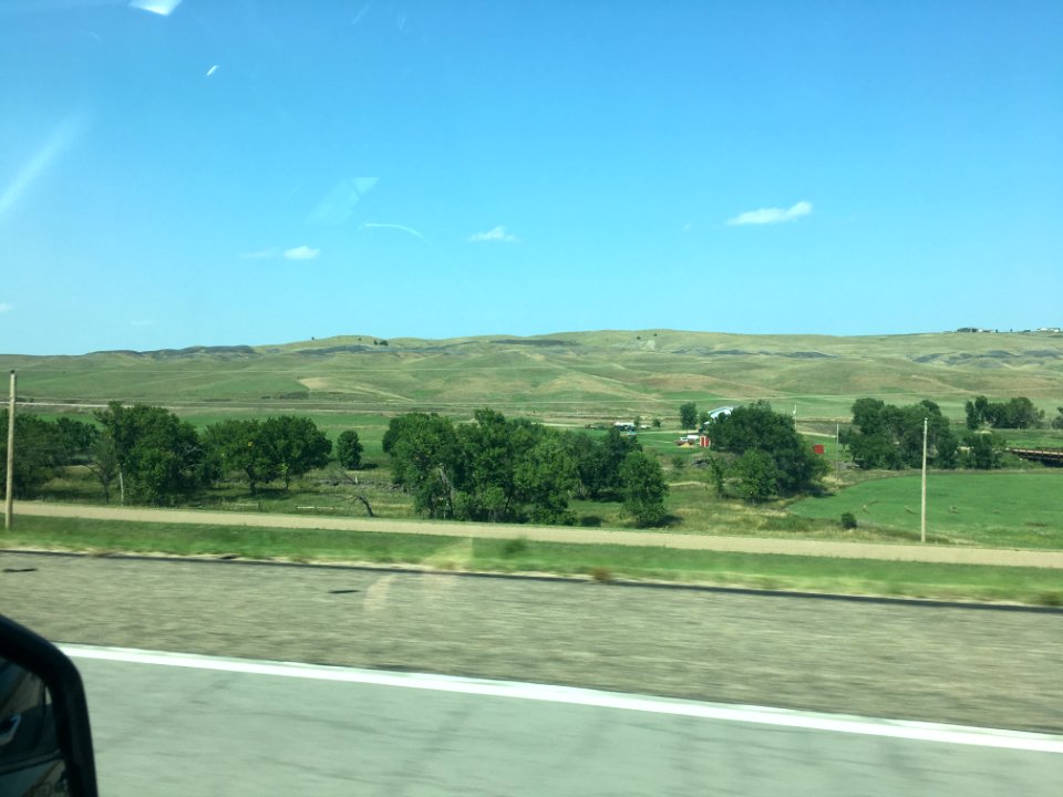 IMG 1914