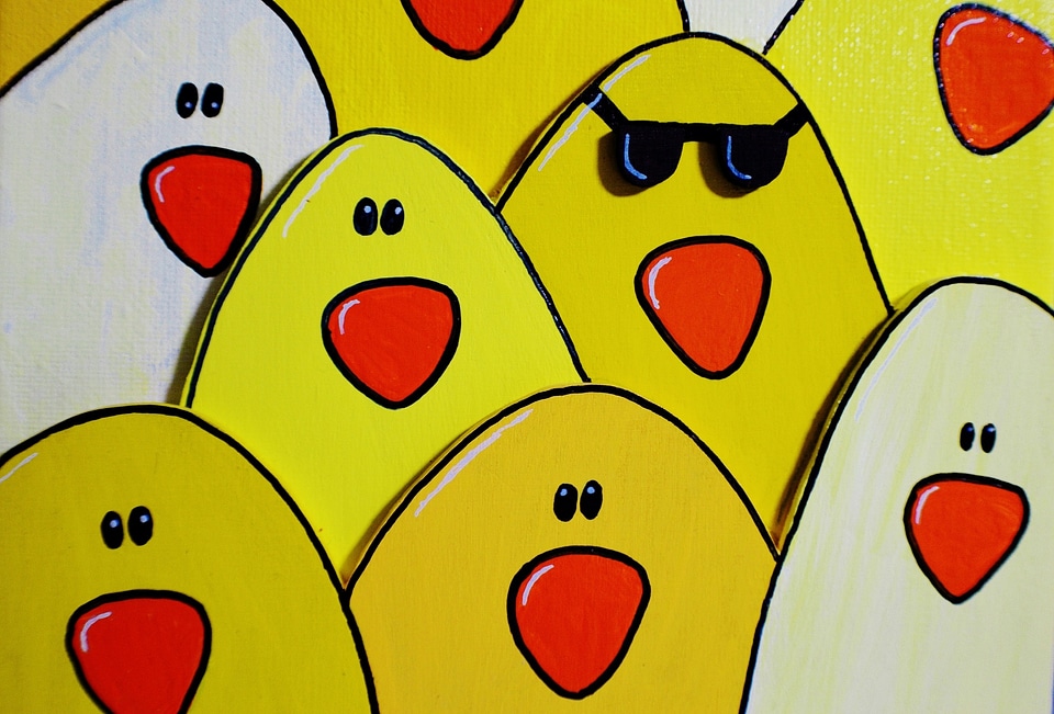Chickens background funny